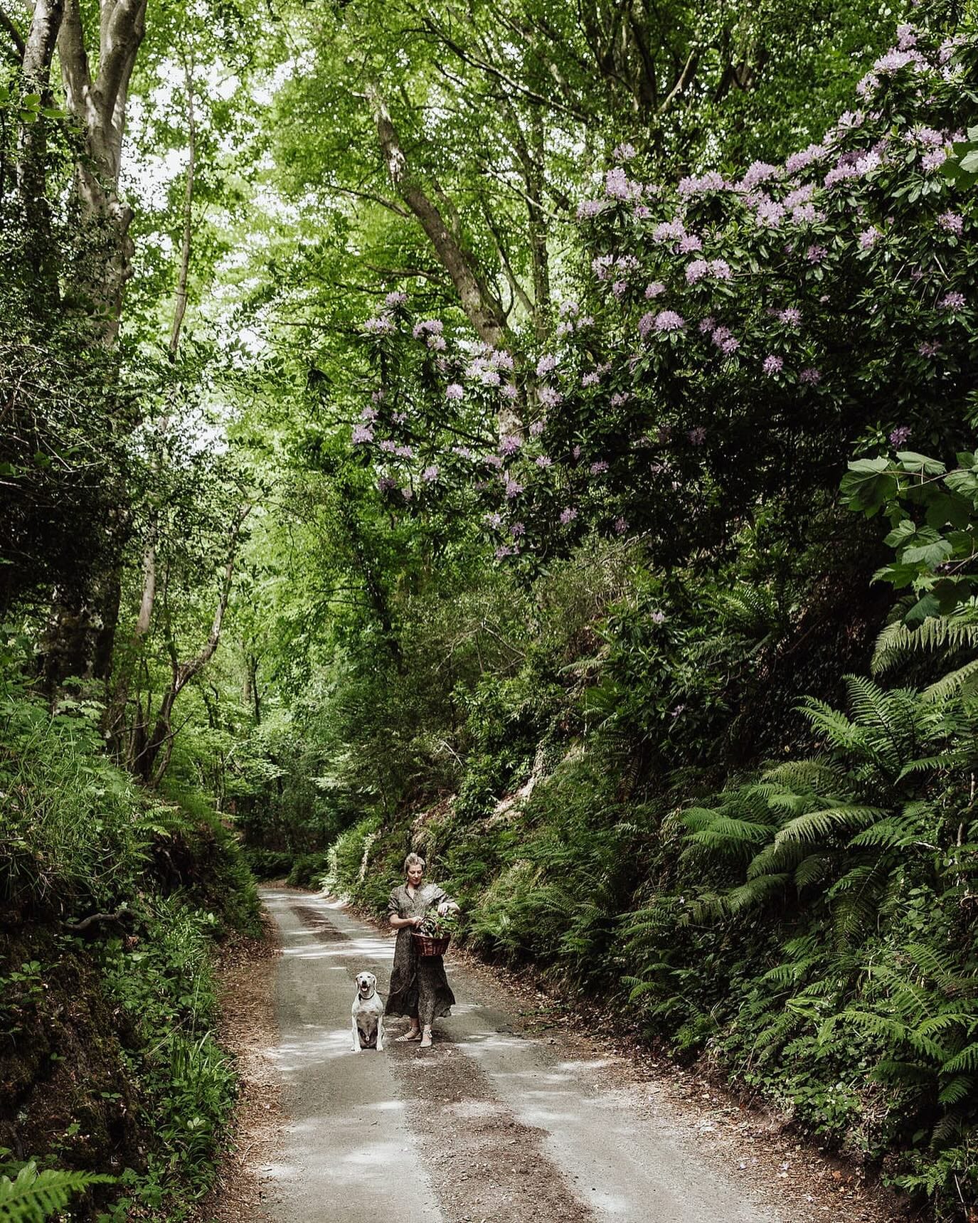 Quando la luce incontra i sentieri: l’incontro tra Marte Marie e Sentier Italia