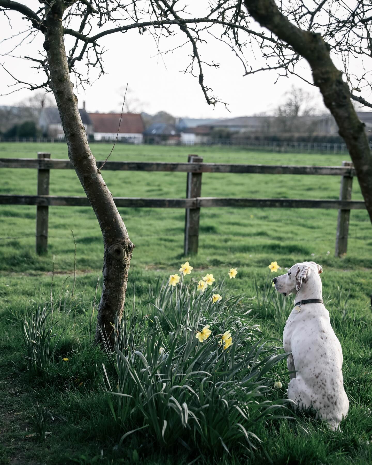 Quando la luce incontra i sentieri: l’incontro tra Marte Marie e Sentier Italia
